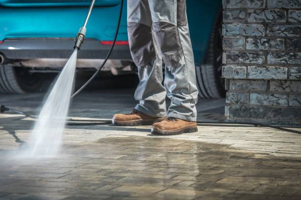 Best Sidewalk and Walkway Cleaning  in Pearsall, TX