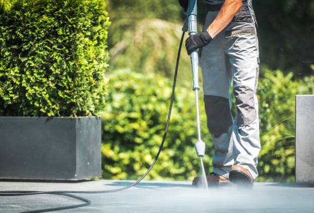Best Gutter Cleaning  in Pearsall, TX