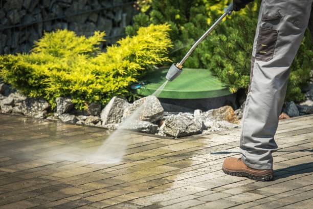 Best Soft Washing  in Pearsall, TX